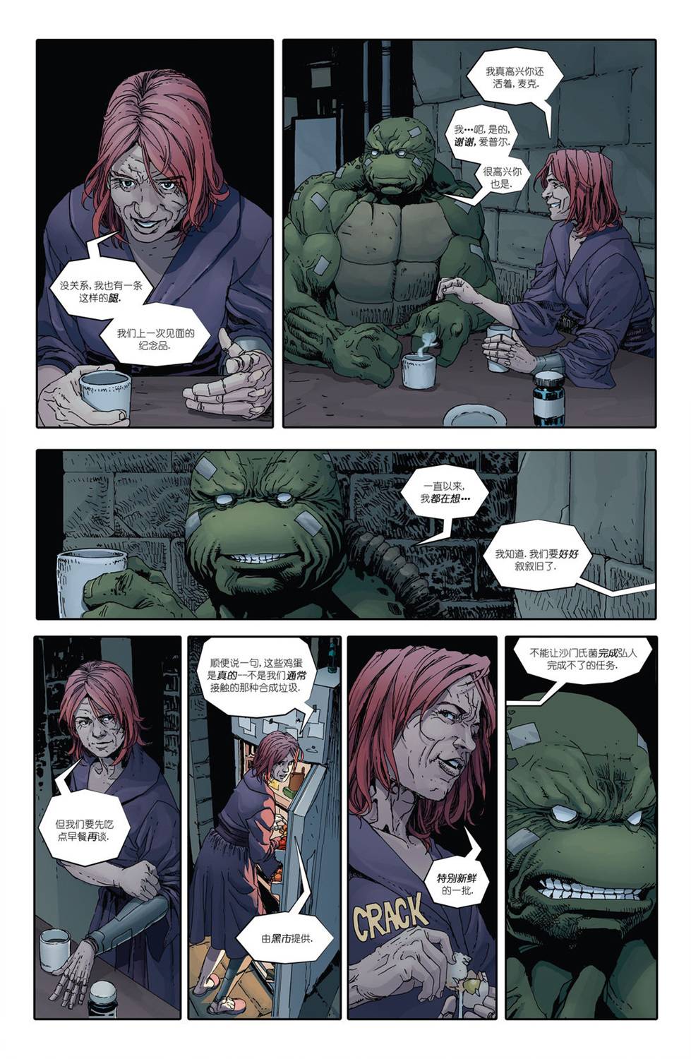 忍者神龟：最后的浪人 2卷 第25页