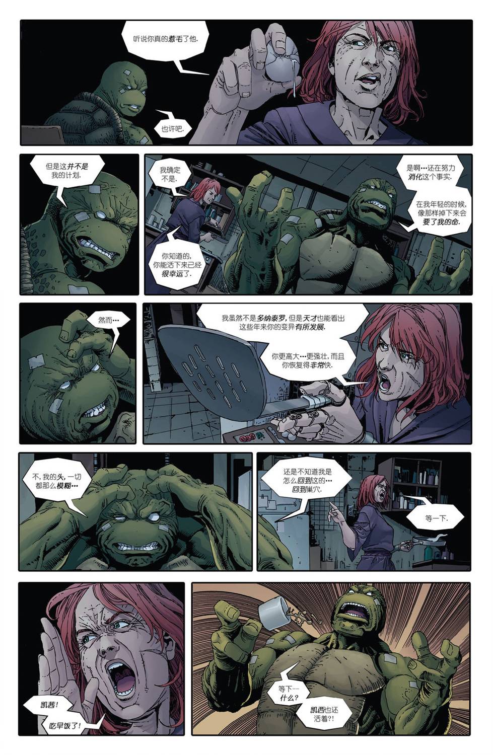 忍者神龟：最后的浪人 2卷 第26页