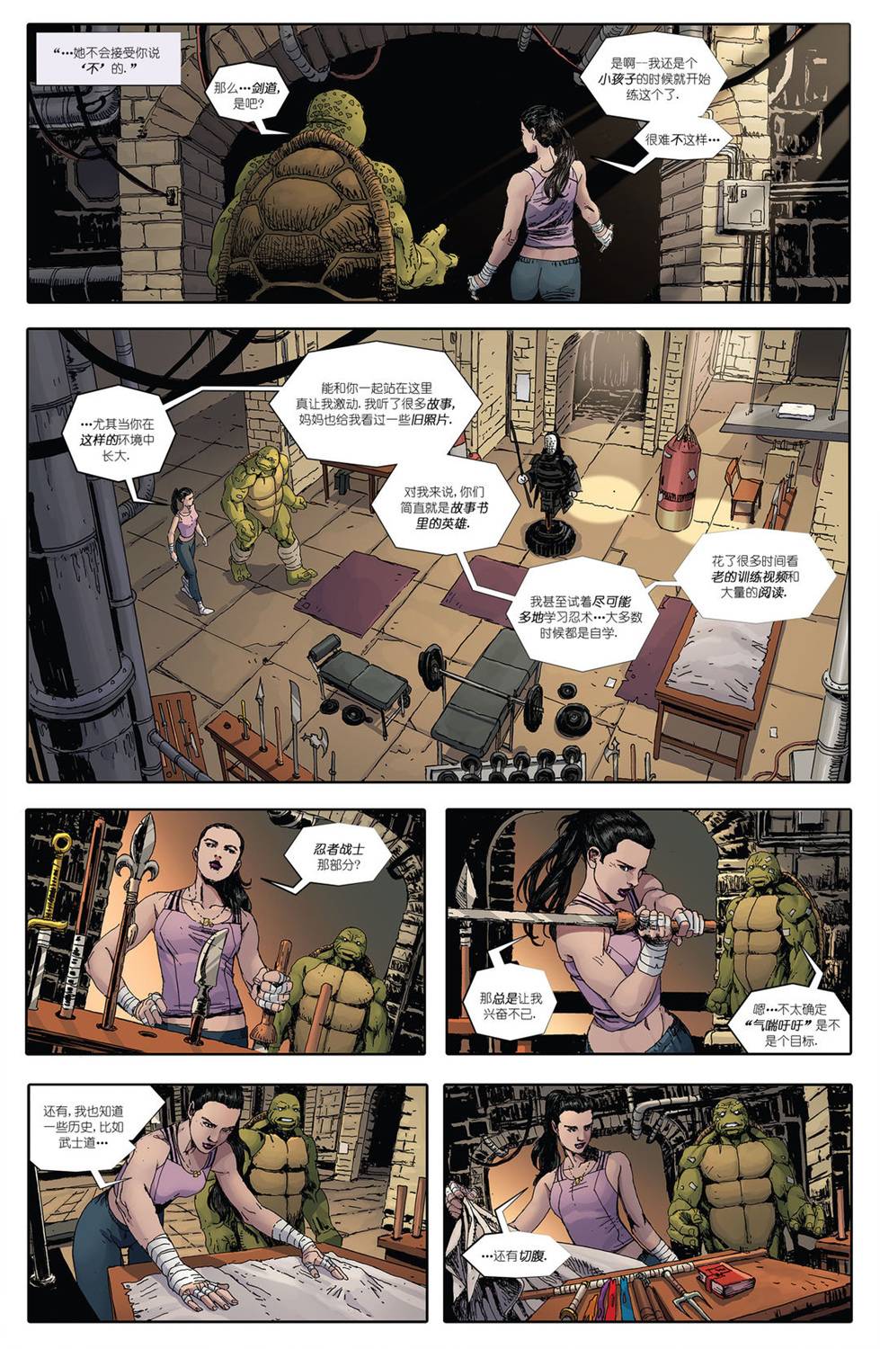 忍者神龟：最后的浪人 2卷 第33页