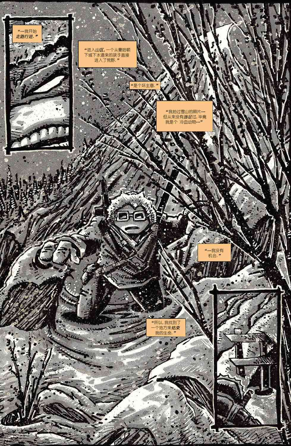 忍者神龟：最后的浪人 2卷 第35页