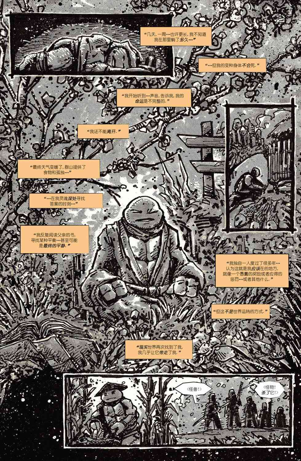 忍者神龟：最后的浪人 2卷 第36页