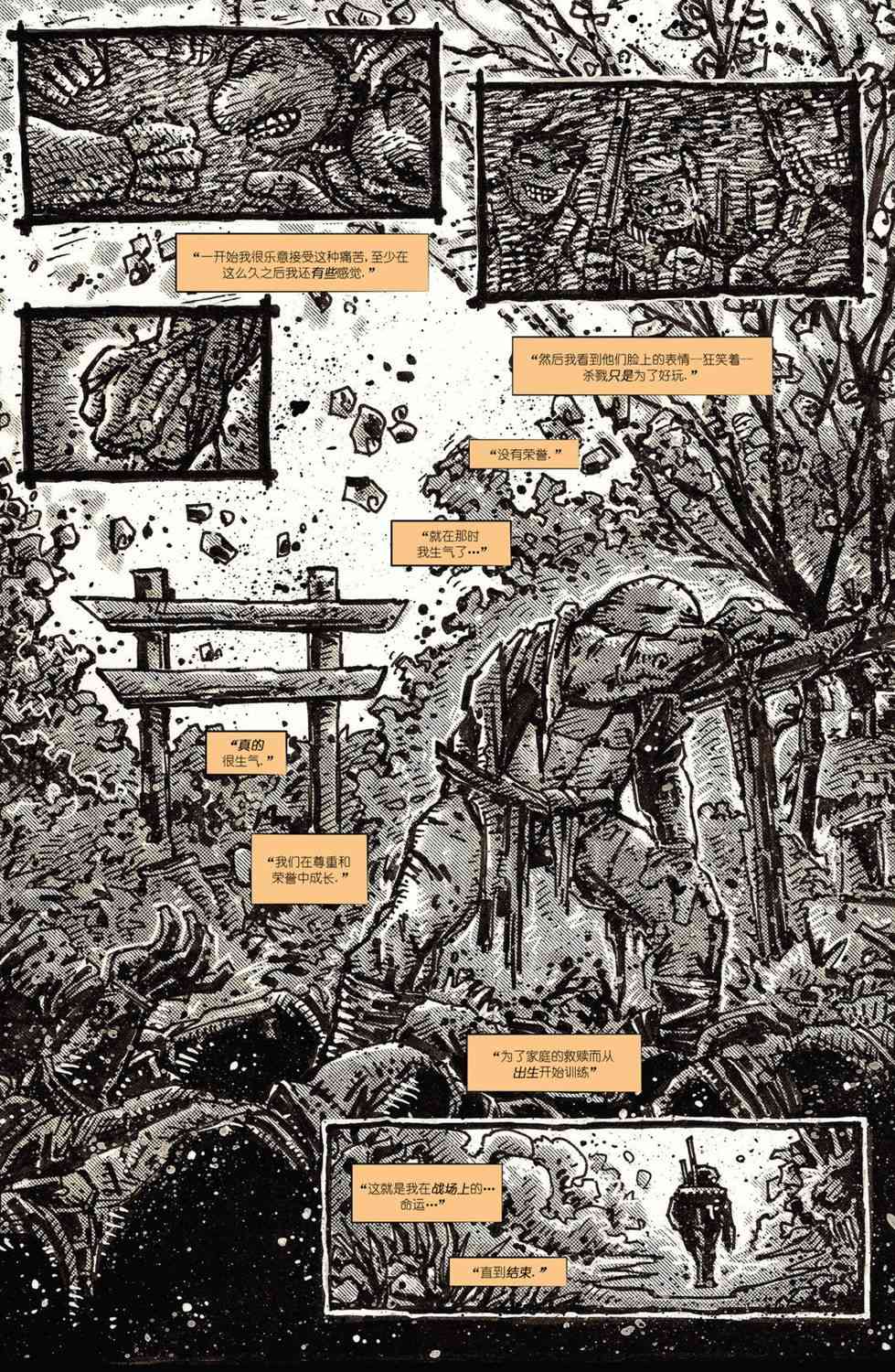 忍者神龟：最后的浪人 2卷 第37页