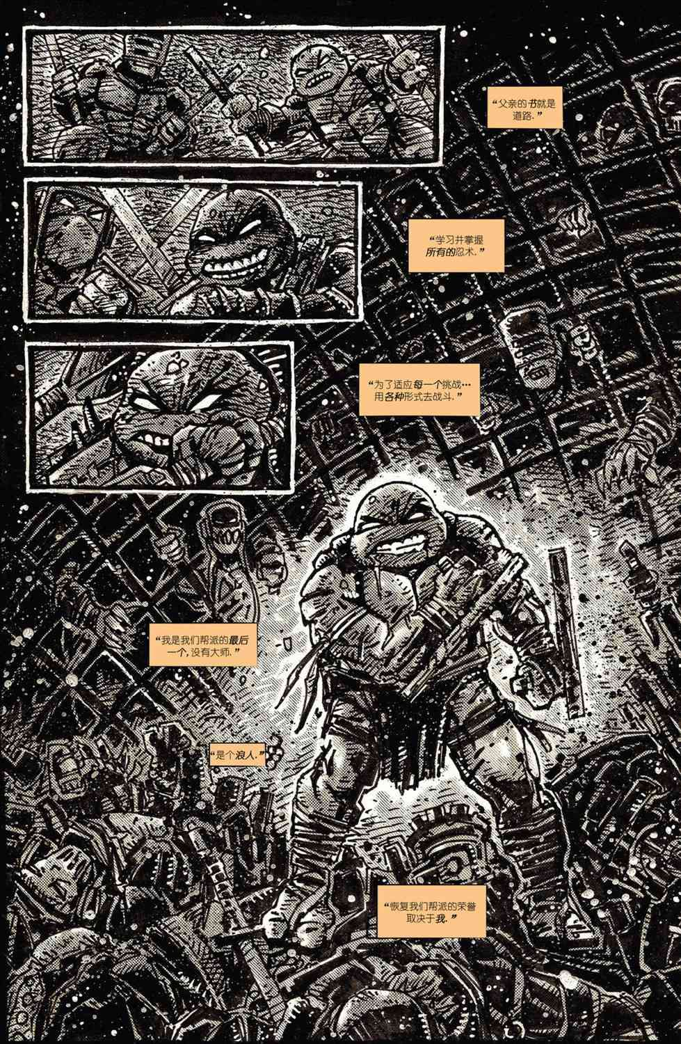 忍者神龟：最后的浪人 2卷 第38页