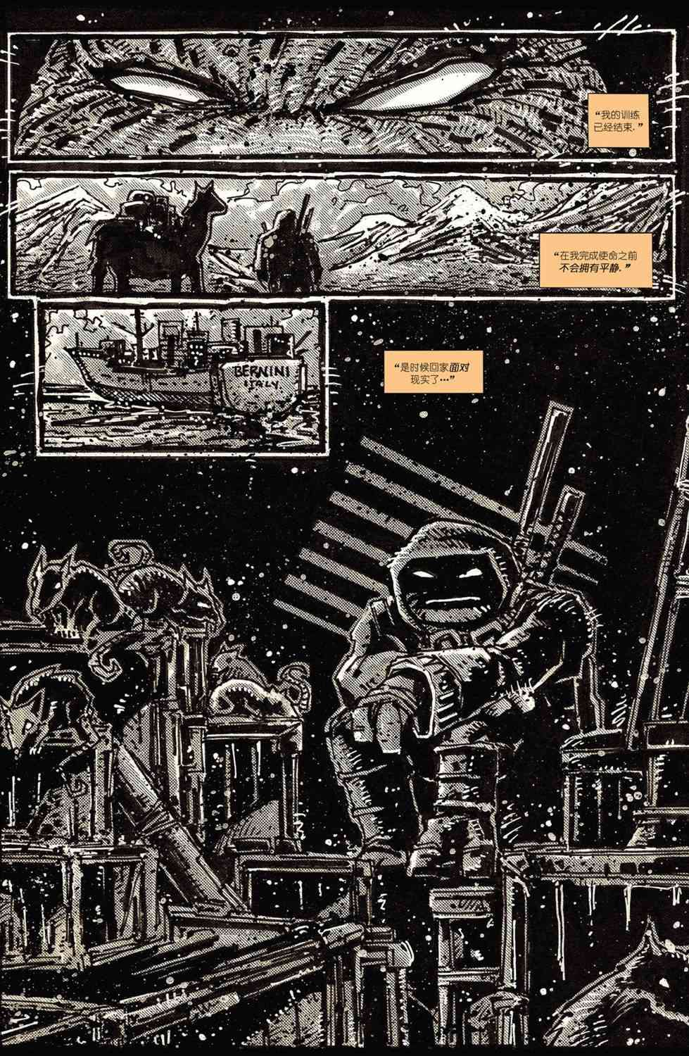 忍者神龟：最后的浪人 2卷 第39页