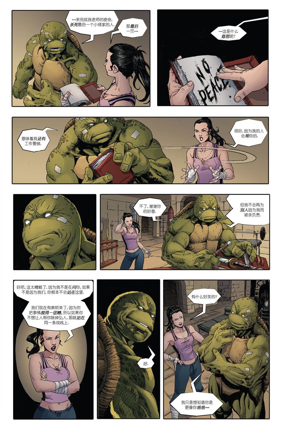 忍者神龟：最后的浪人 2卷 第40页