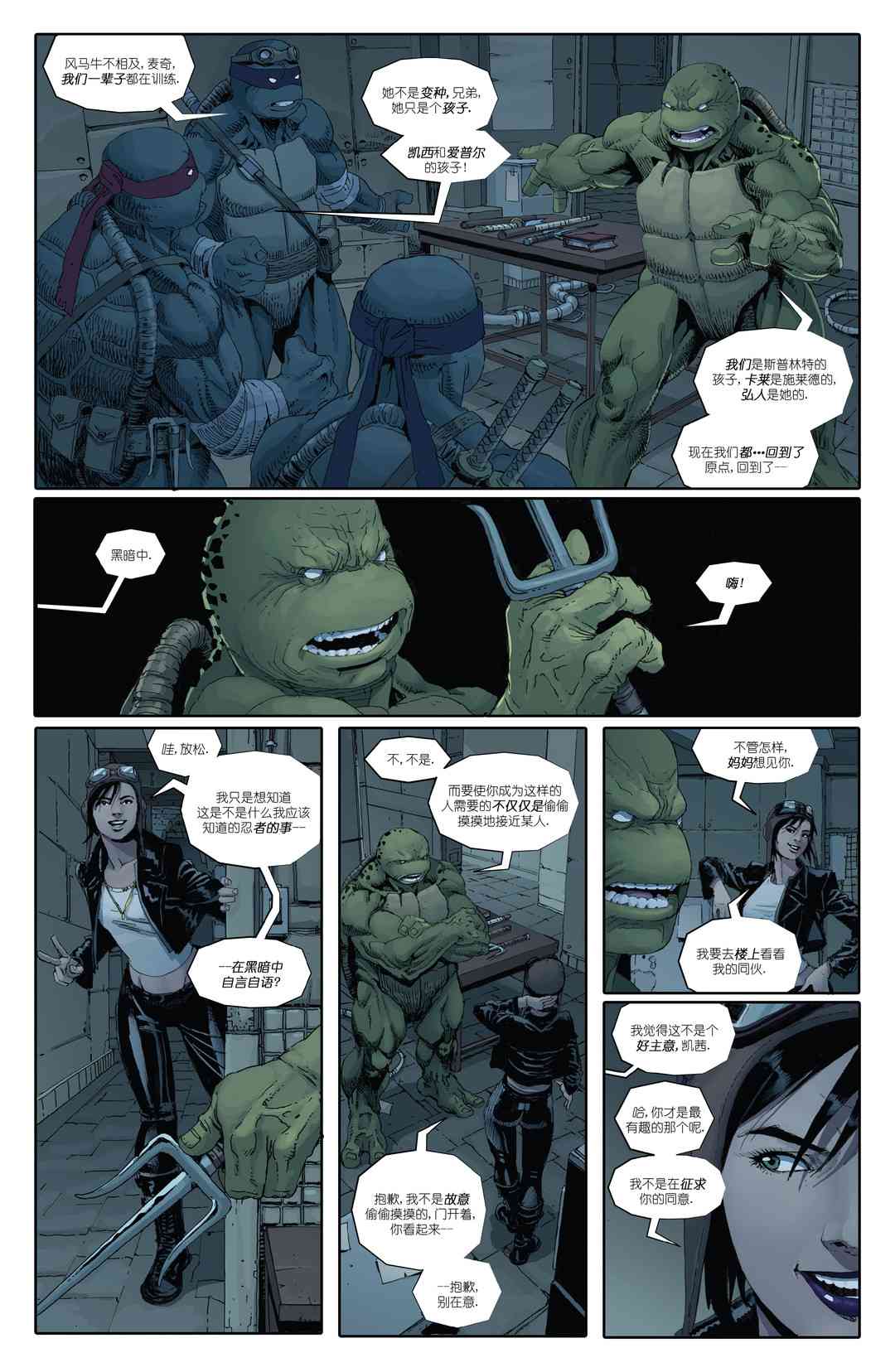 忍者神龟：最后的浪人 3卷 第9页