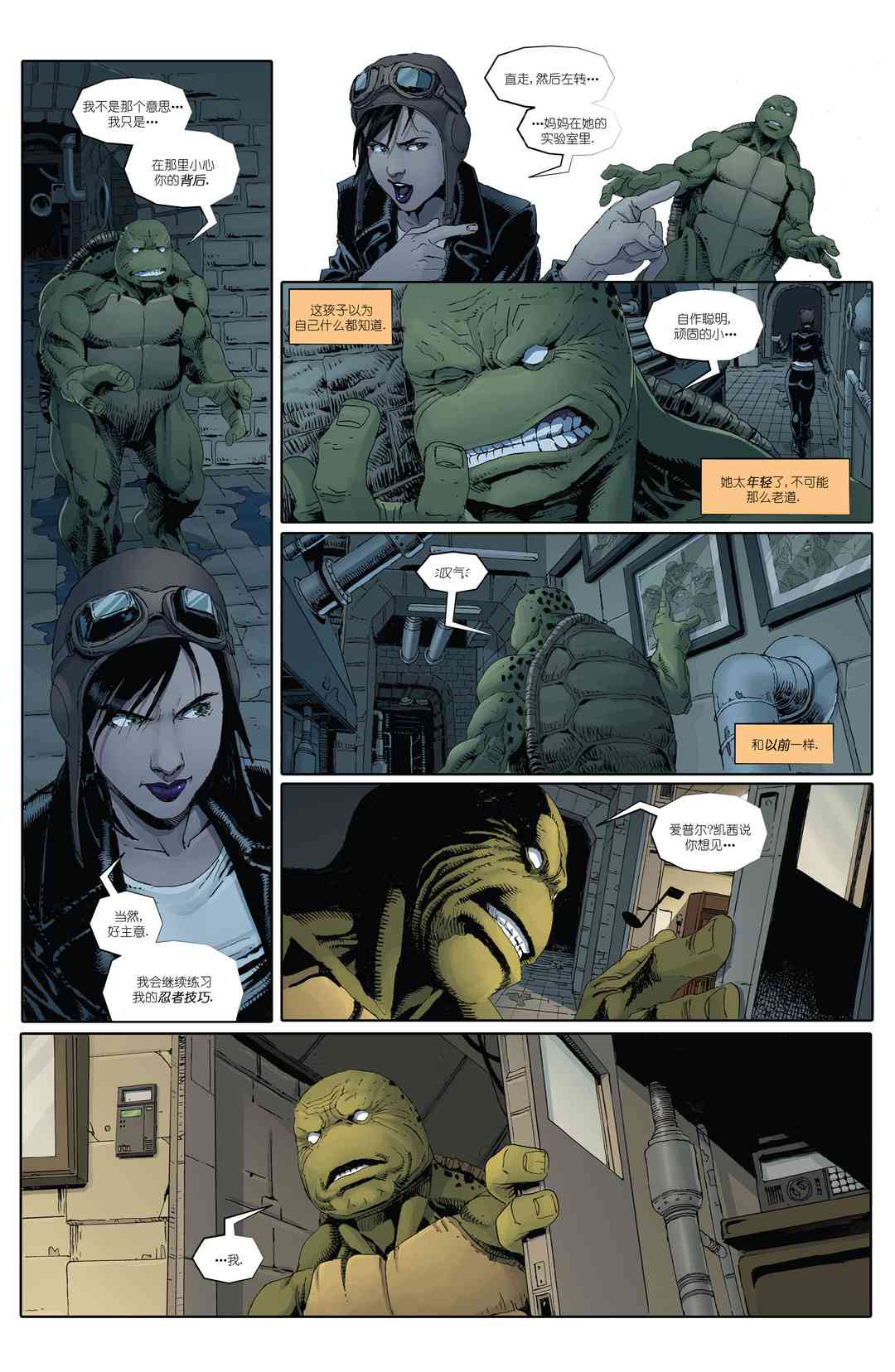 忍者神龟：最后的浪人 3卷 第10页