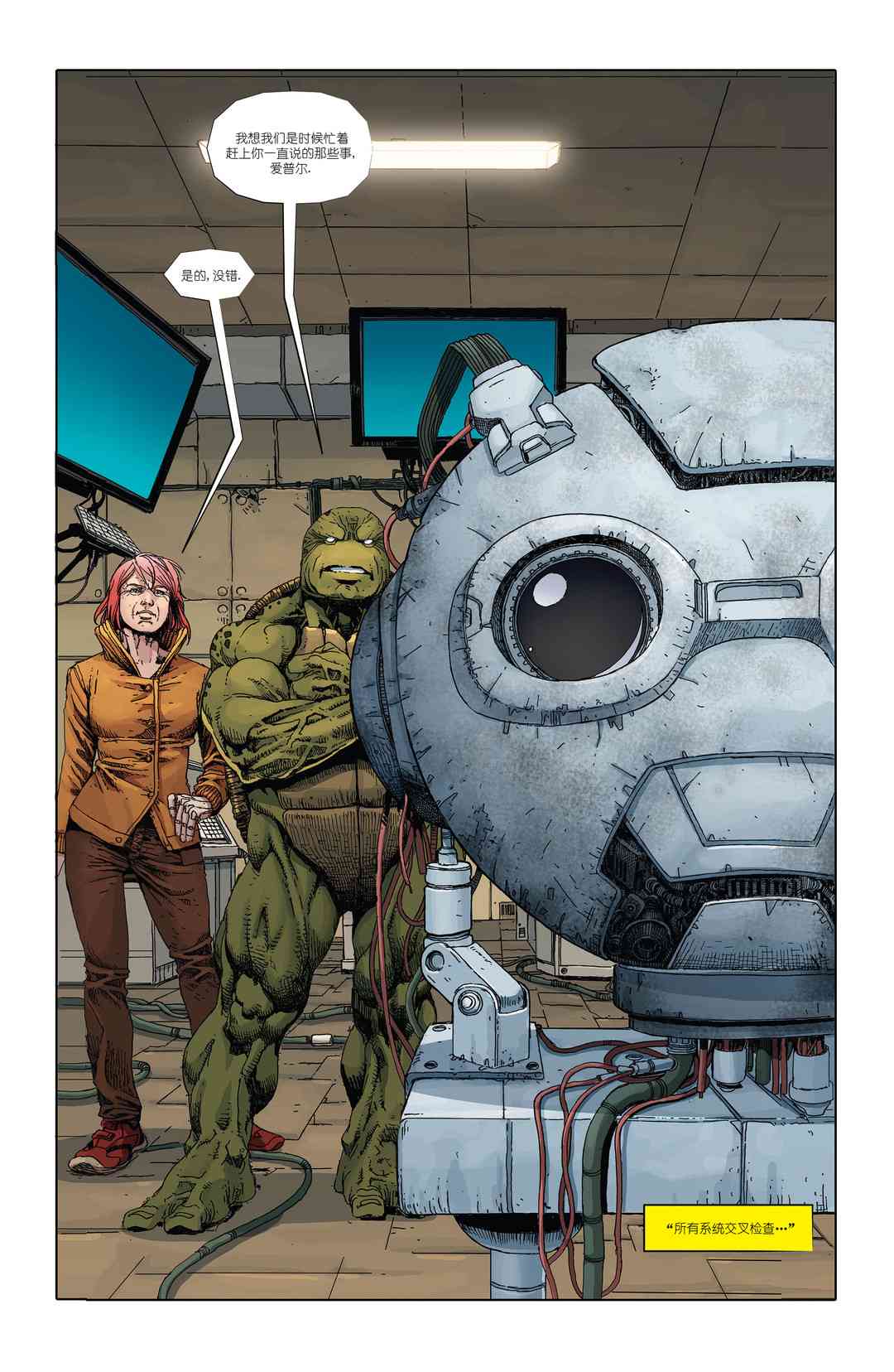 忍者神龟：最后的浪人 3卷 第12页