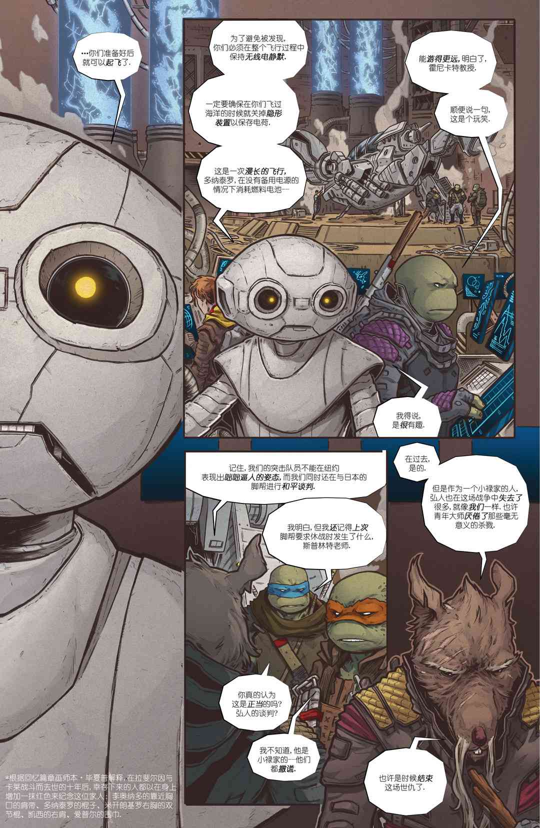 忍者神龟：最后的浪人 3卷 第13页