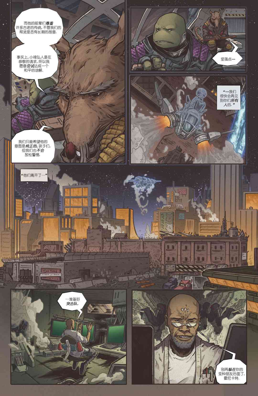 忍者神龟：最后的浪人 3卷 第14页