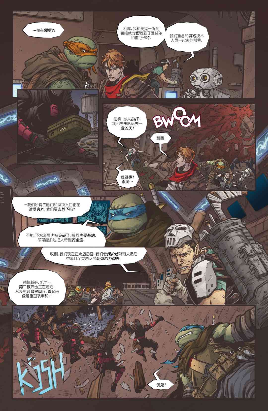 忍者神龟：最后的浪人 3卷 第17页