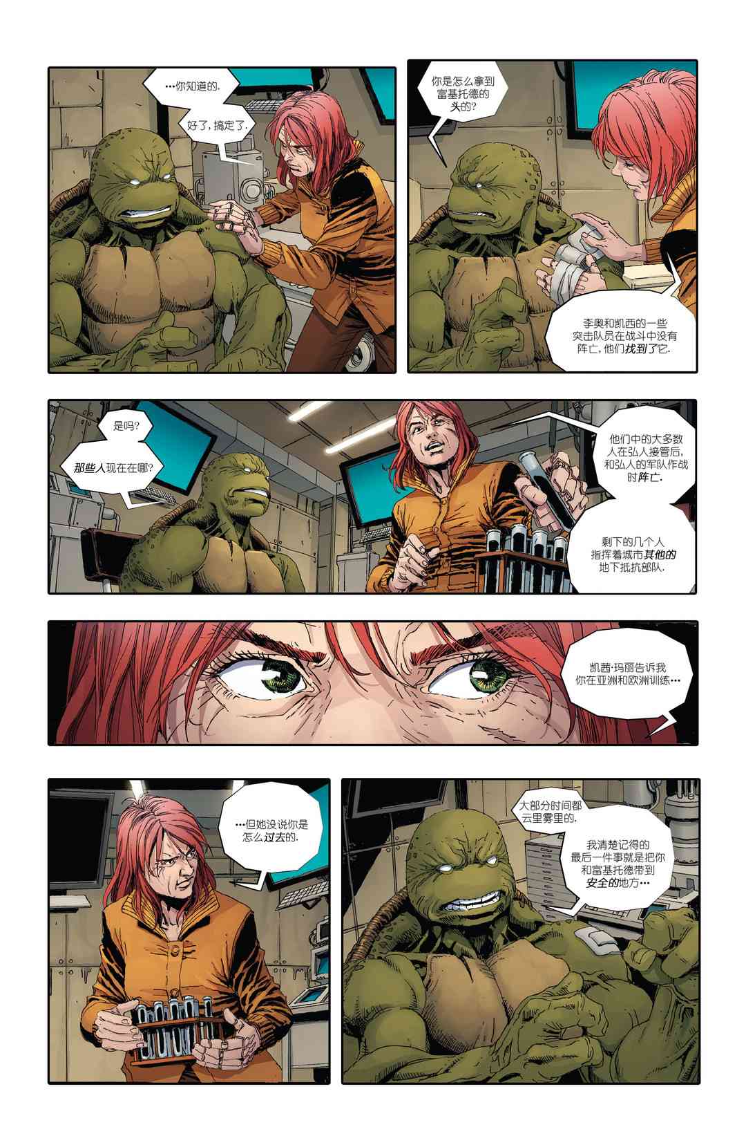 忍者神龟：最后的浪人 3卷 第31页