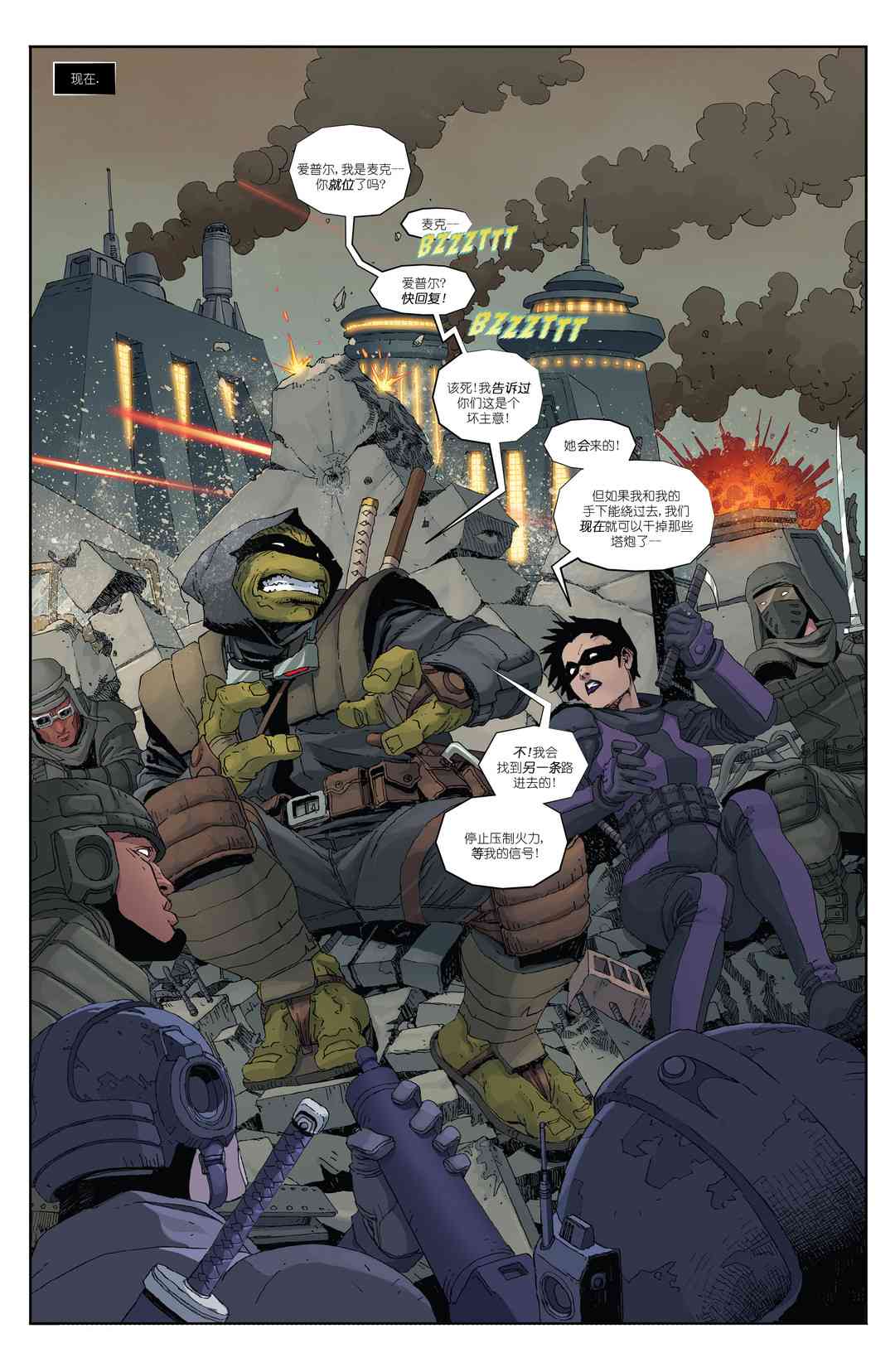 忍者神龟：最后的浪人 4卷 第2页