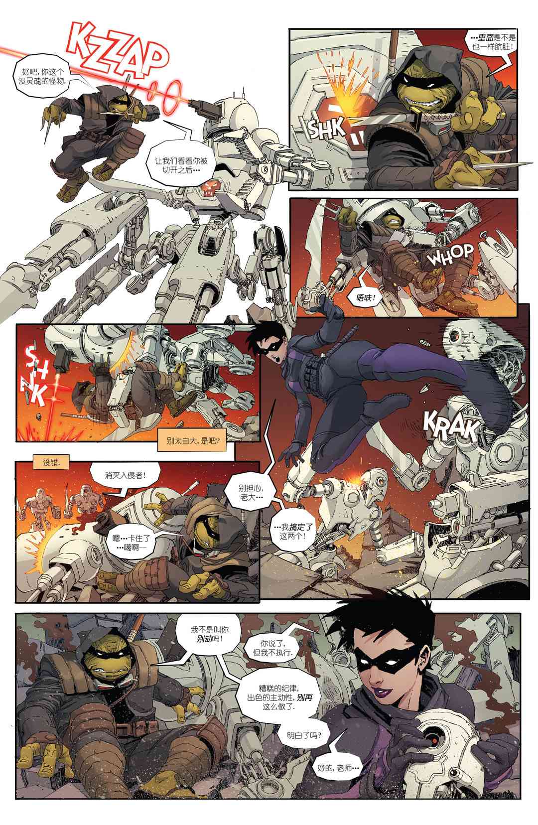 忍者神龟：最后的浪人 4卷 第5页