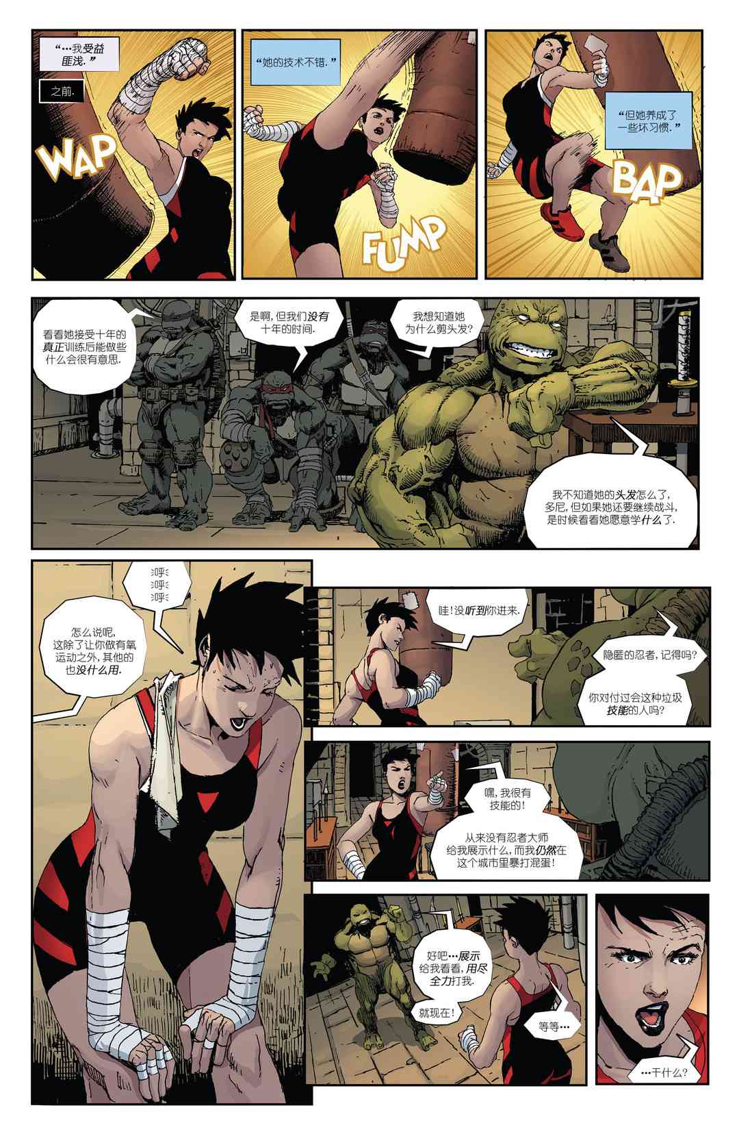 忍者神龟：最后的浪人 4卷 第6页