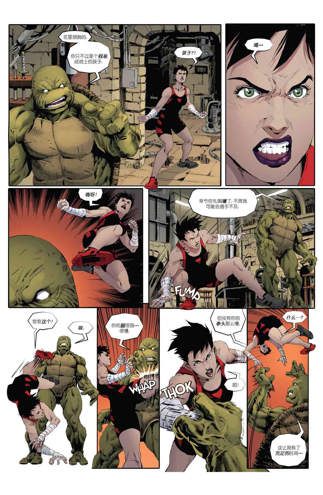 忍者神龟：最后的浪人 4卷 第7页