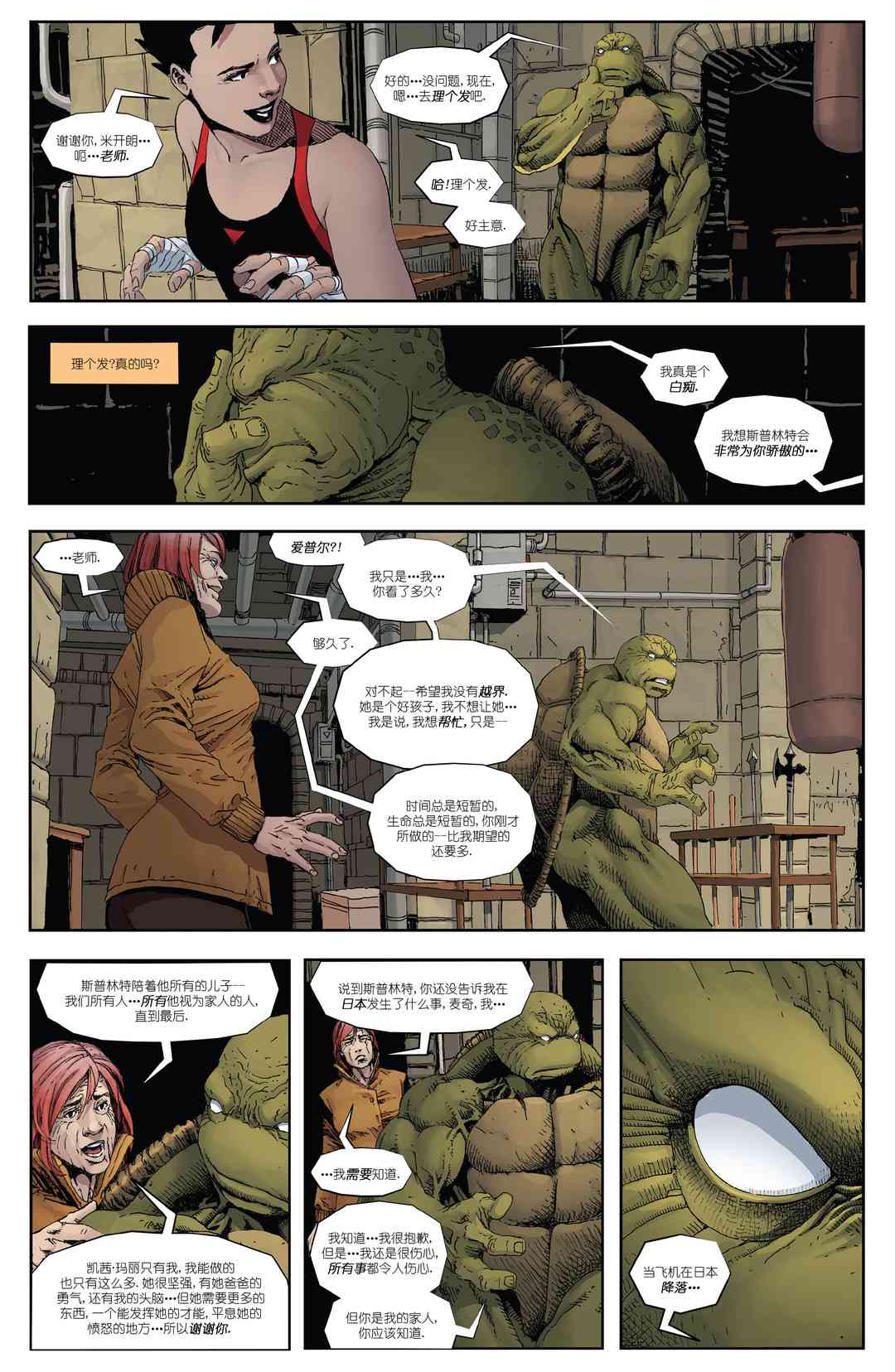 忍者神龟：最后的浪人 4卷 第11页