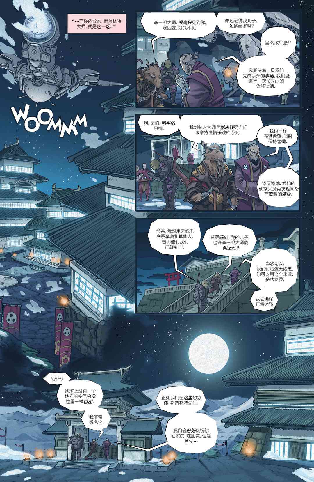 忍者神龟：最后的浪人 4卷 第14页