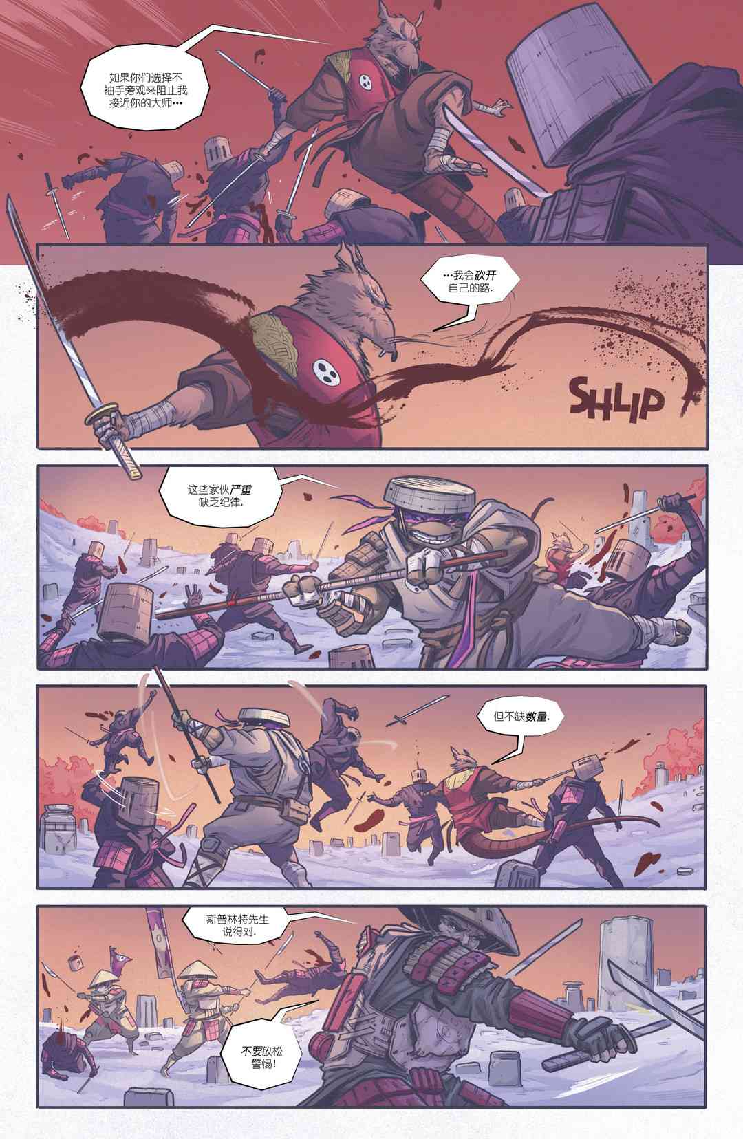 忍者神龟：最后的浪人 4卷 第18页