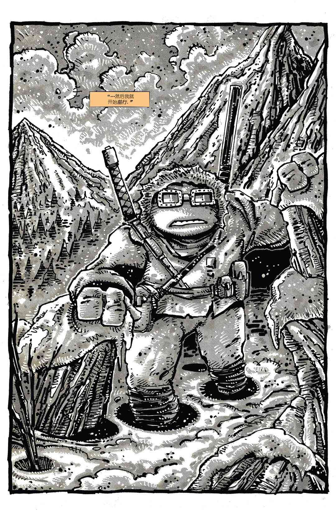 忍者神龟：最后的浪人 4卷 第25页