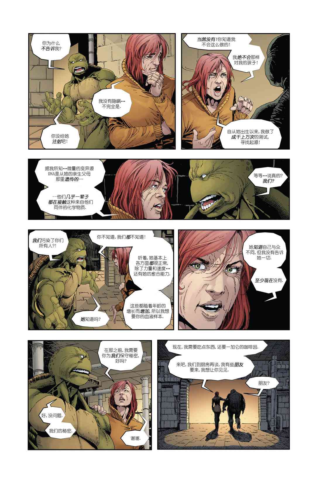 忍者神龟：最后的浪人 4卷 第27页