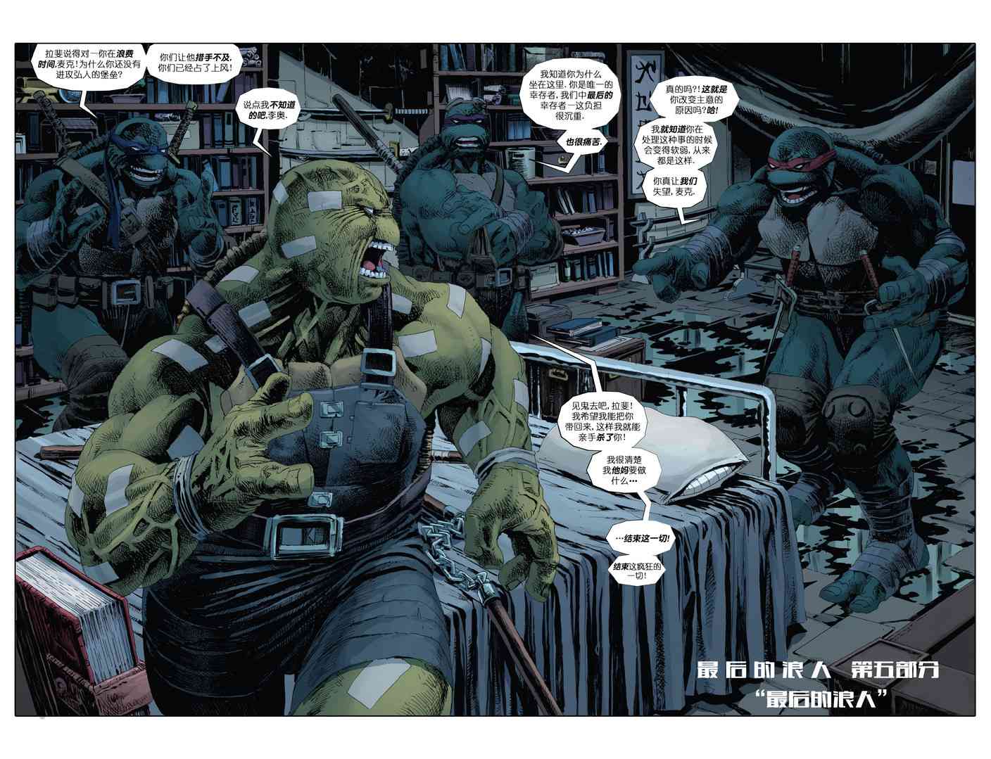 忍者神龟：最后的浪人 5卷 第3页
