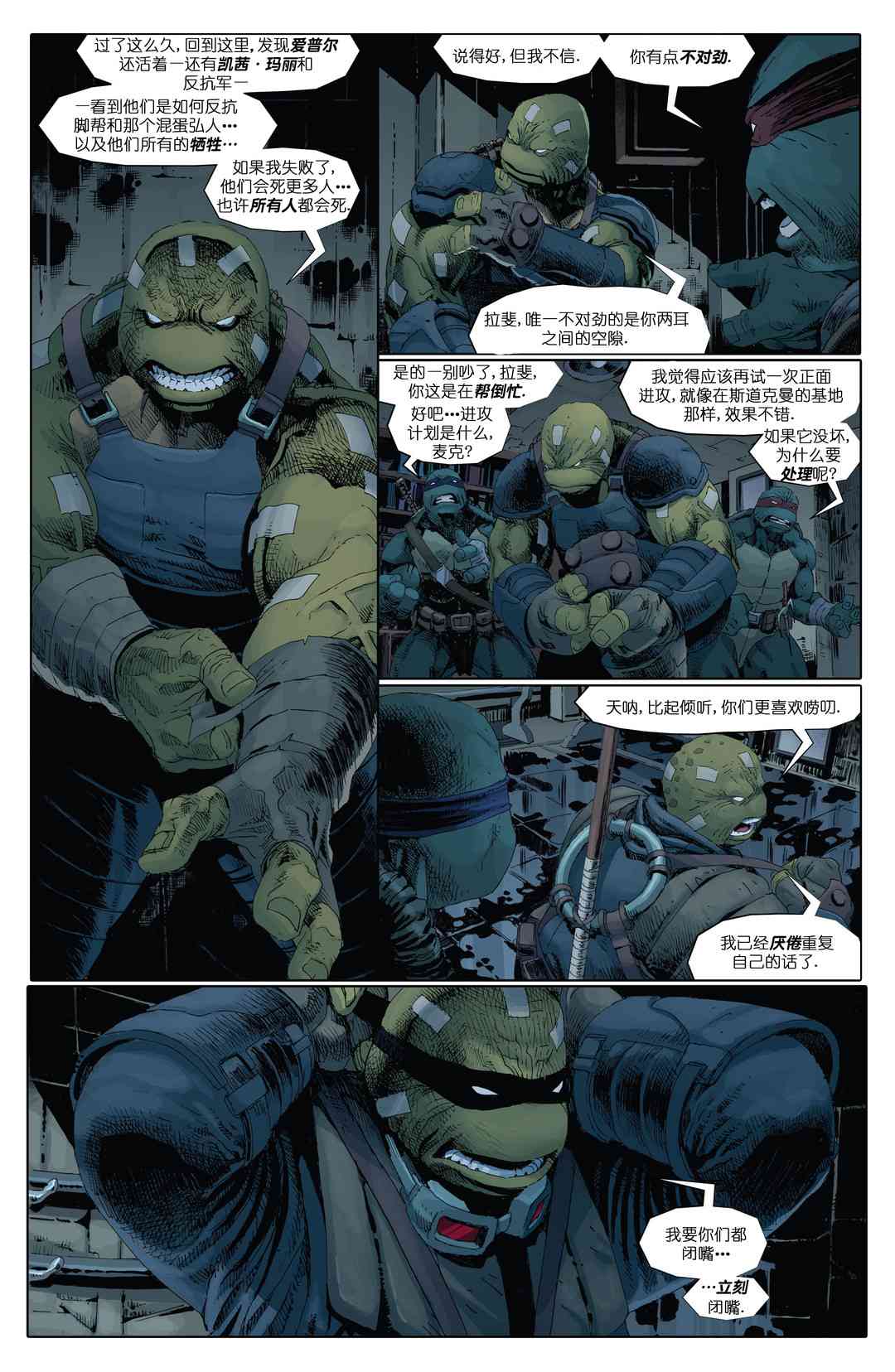 忍者神龟：最后的浪人 5卷 第4页
