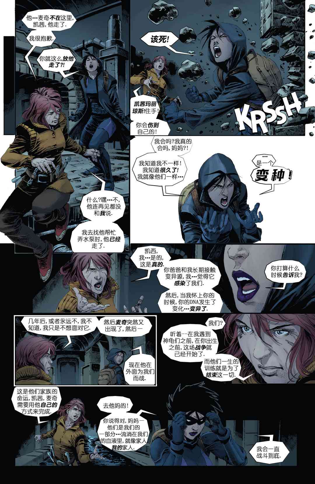 忍者神龟：最后的浪人 5卷 第9页