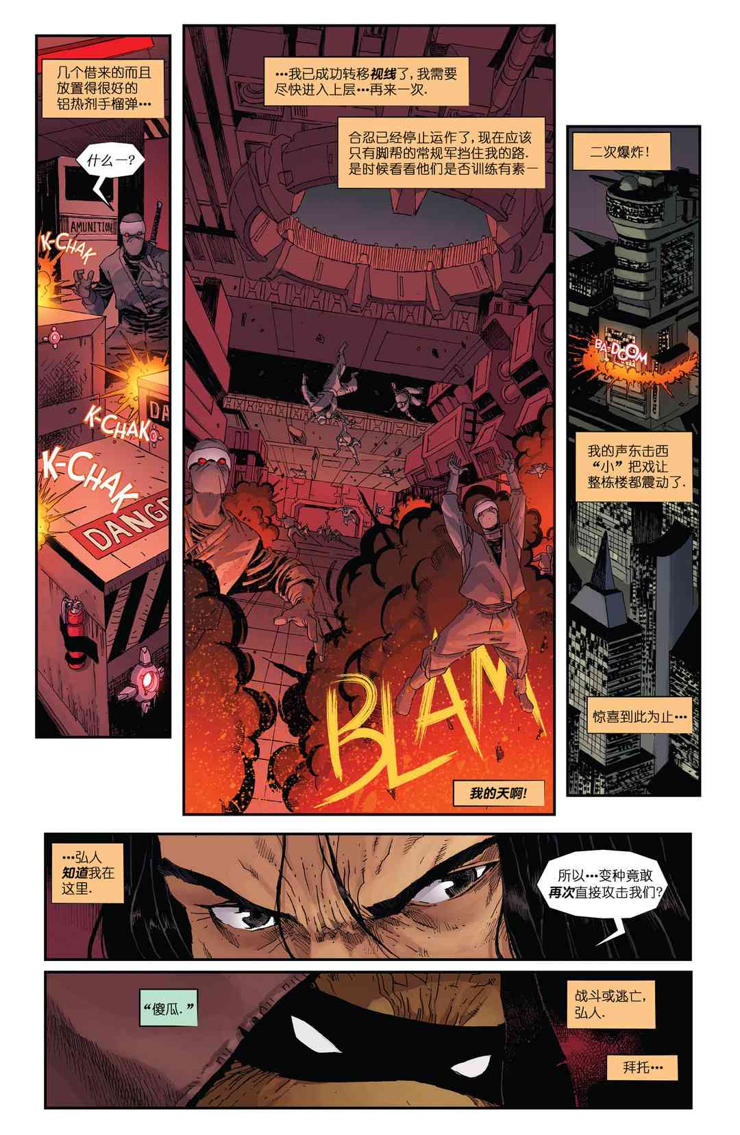 忍者神龟：最后的浪人 5卷 第10页