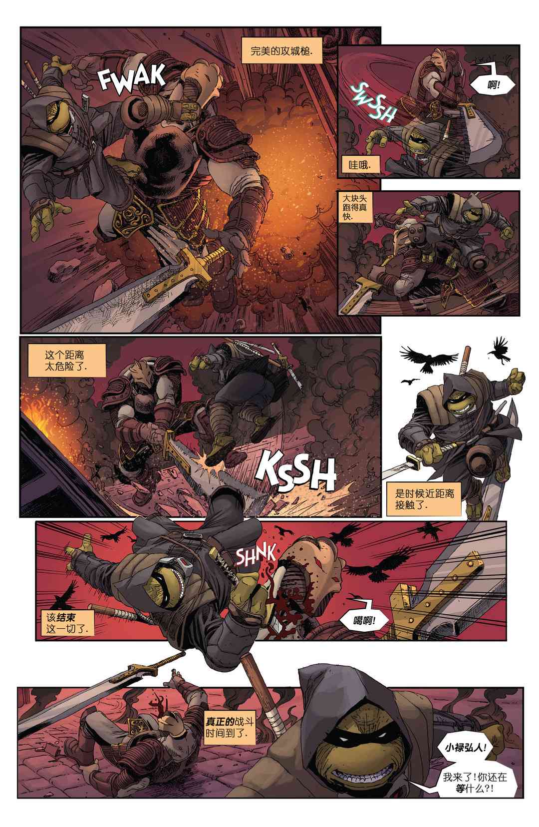 忍者神龟：最后的浪人 5卷 第13页