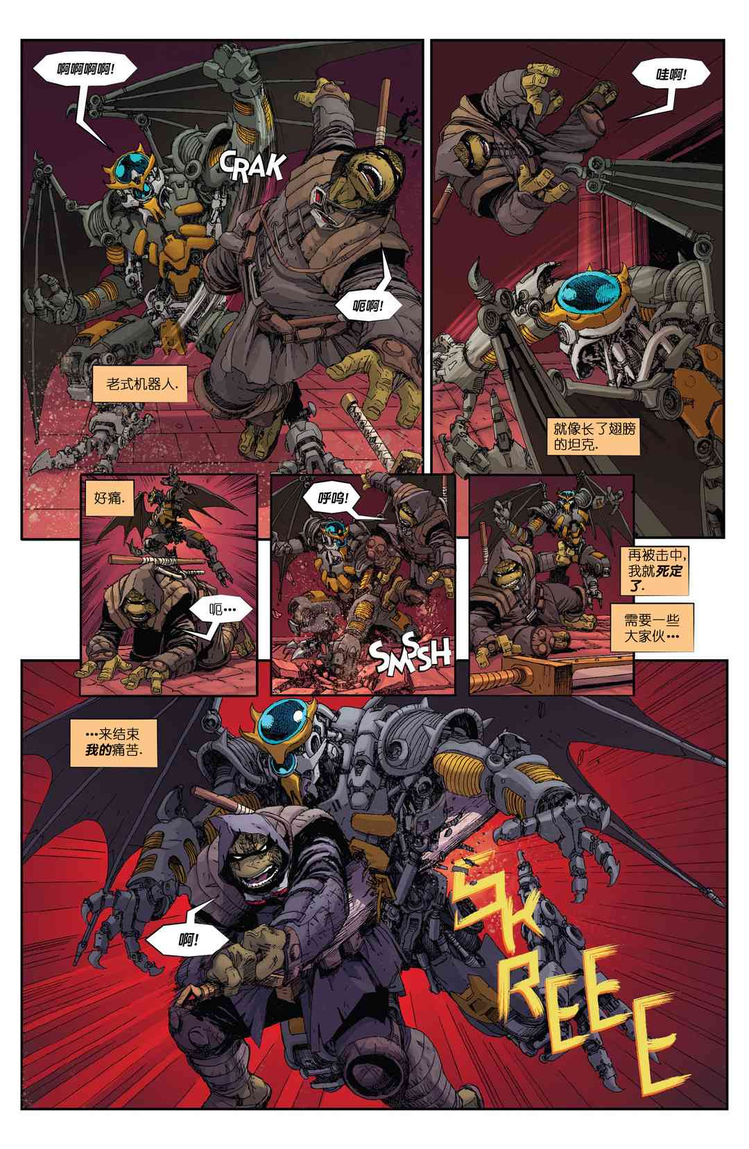 忍者神龟：最后的浪人 5卷 第15页