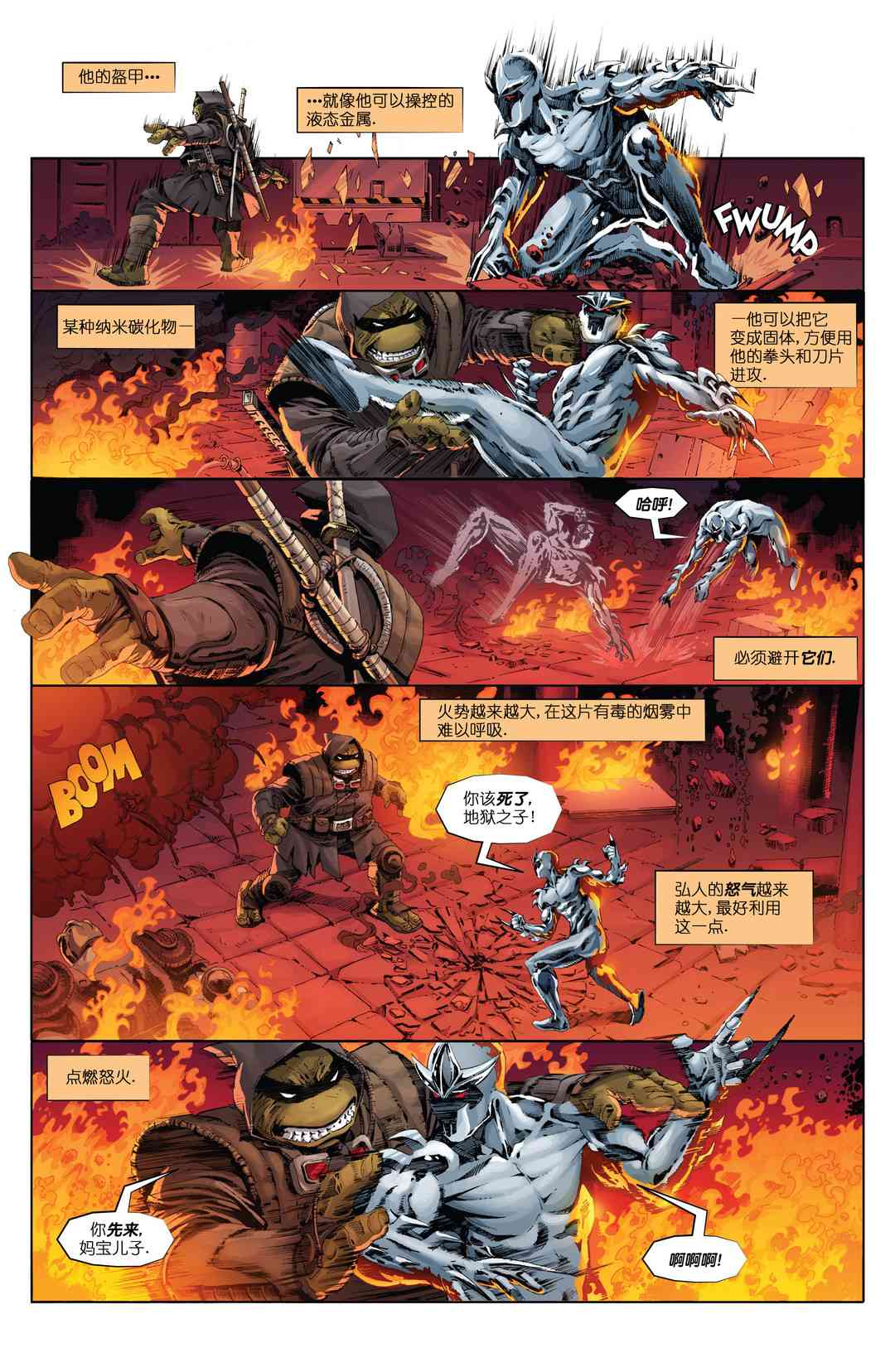 忍者神龟：最后的浪人 5卷 第19页