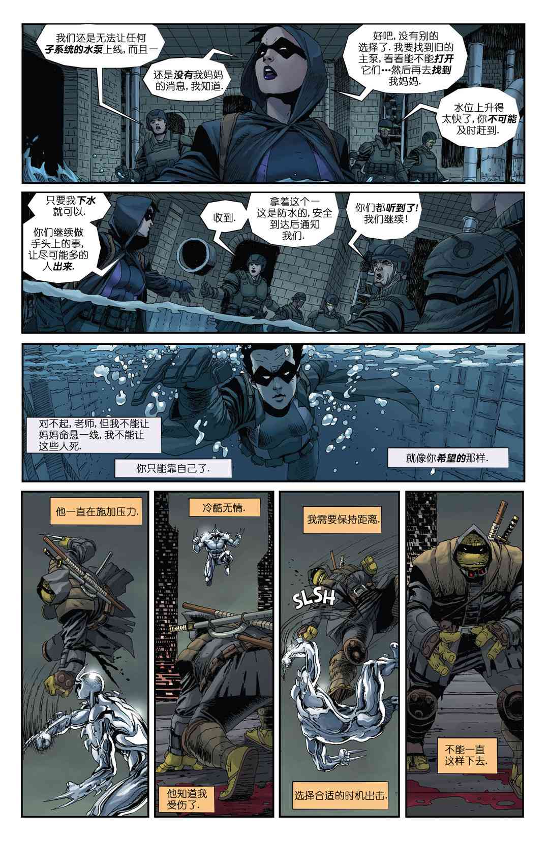 忍者神龟：最后的浪人 5卷 第24页