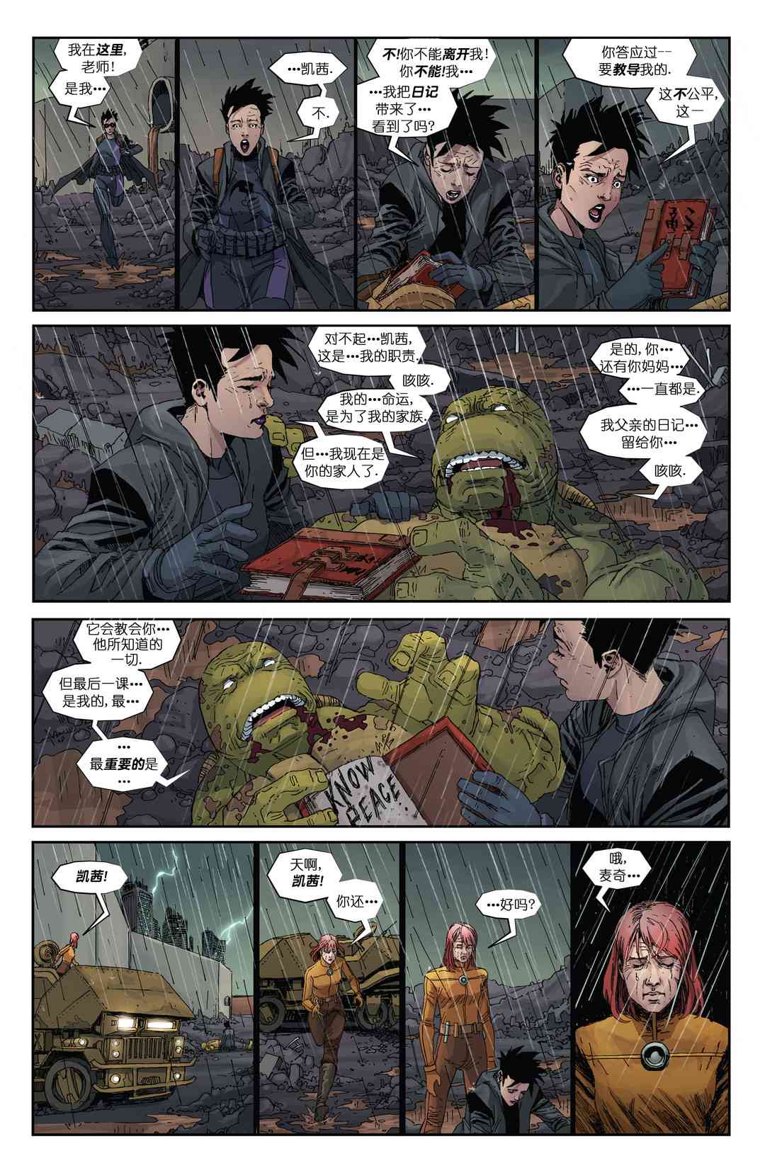 忍者神龟：最后的浪人 5卷 第34页