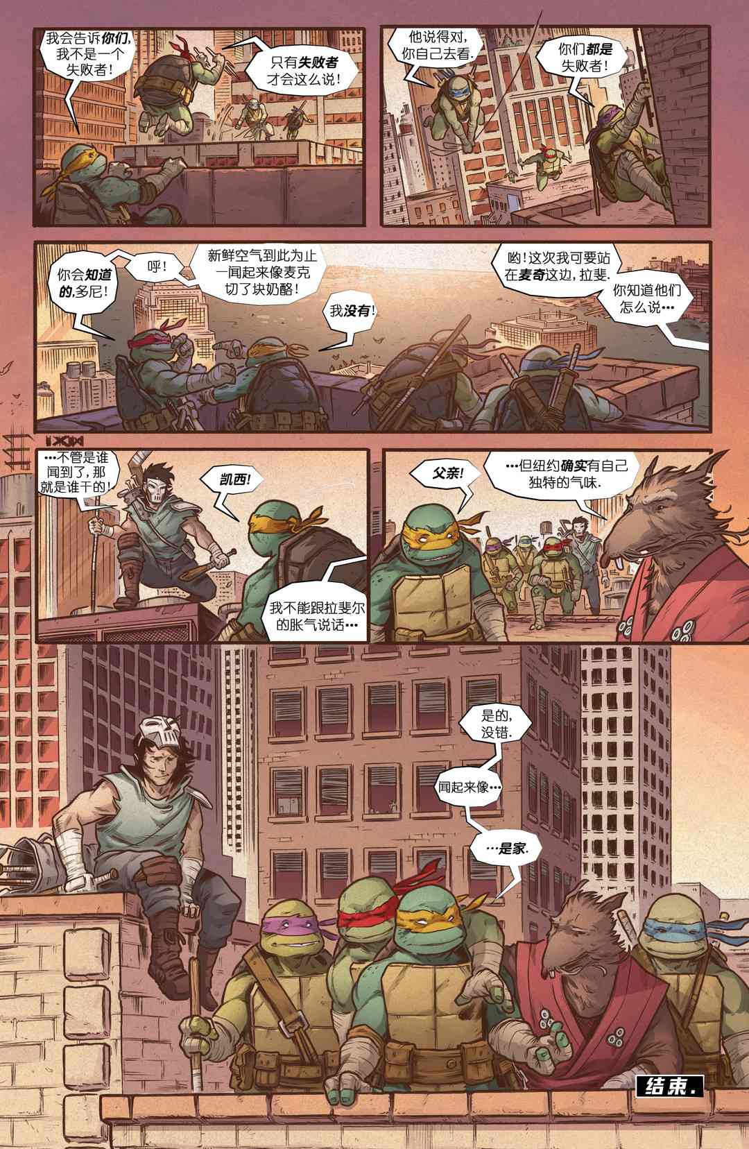 忍者神龟：最后的浪人 5卷 第37页