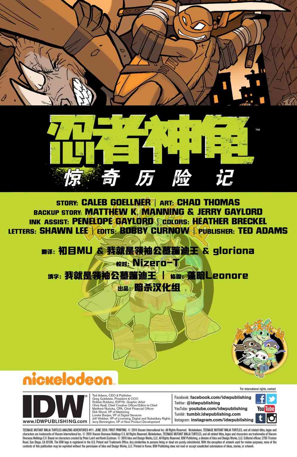 忍者神龟：惊奇历险记11卷图