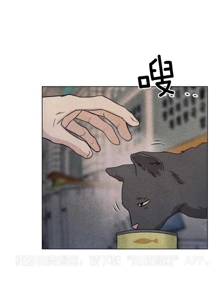 弱肉强食第19话图