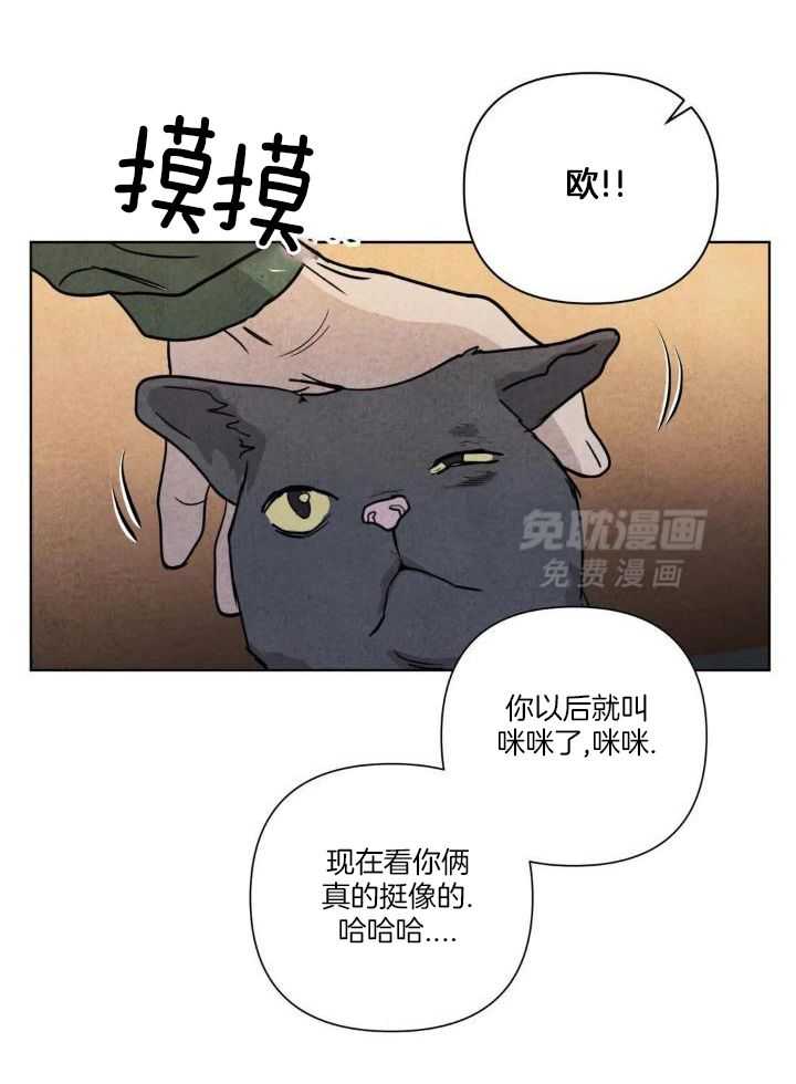 弱肉强食第19话图