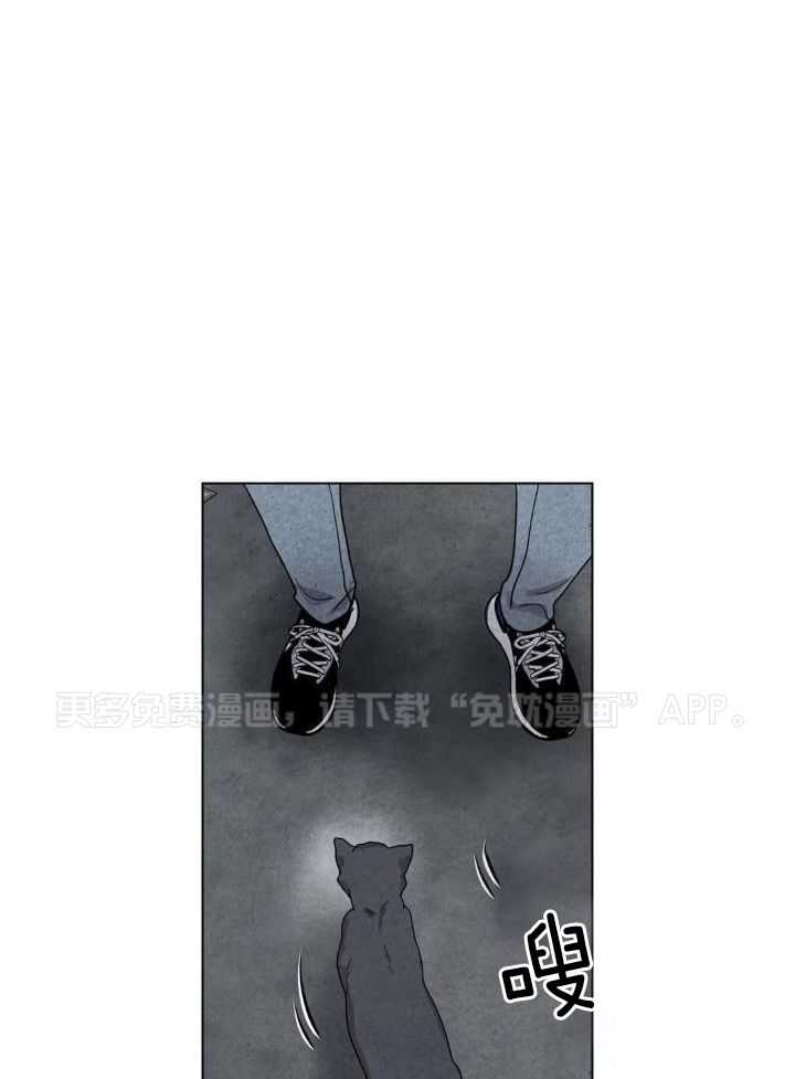 弱肉强食第20话图