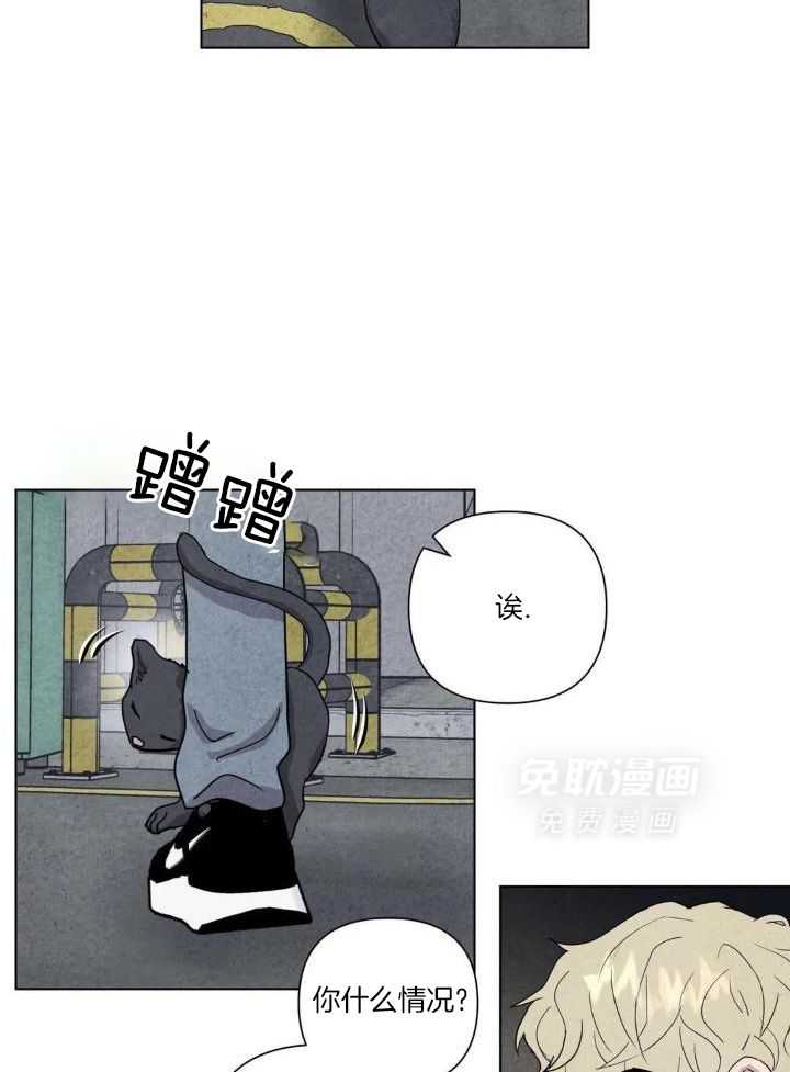 弱肉强食第20话图