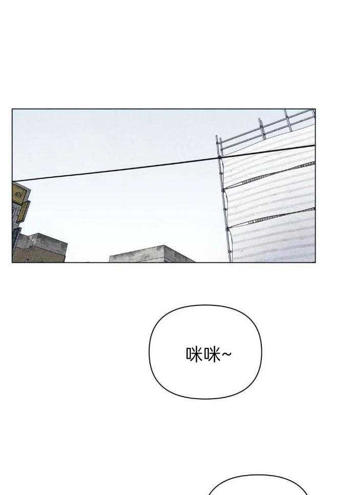 弱肉强食第30话图