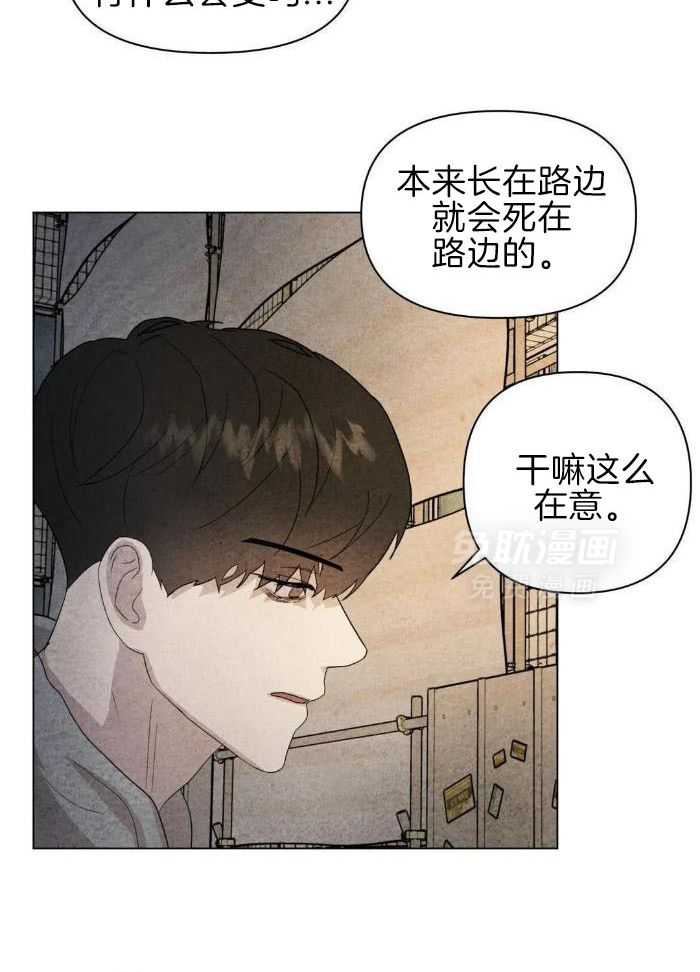 弱肉强食第35话图