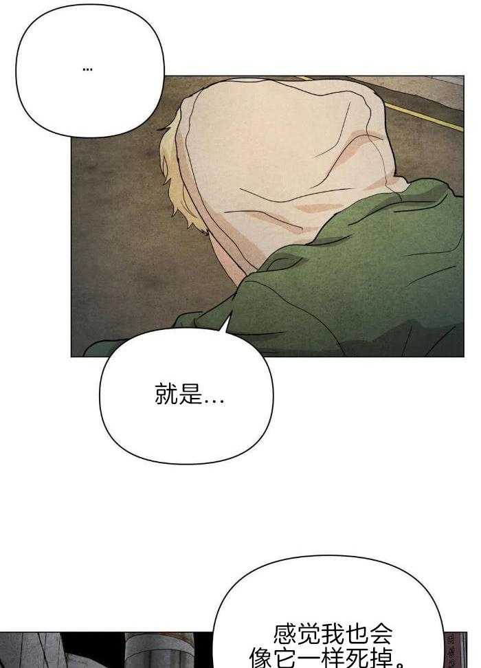 弱肉强食第35话图