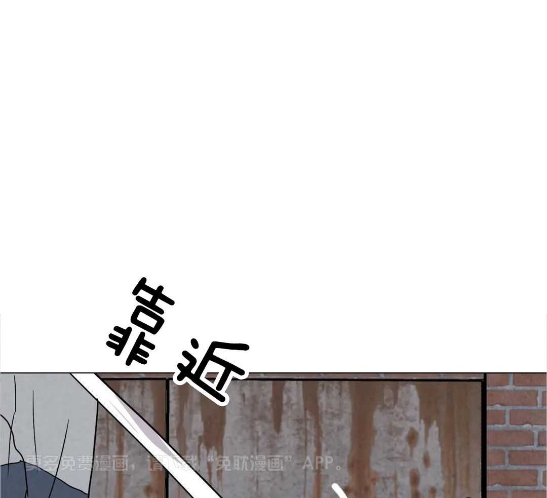 弱肉强食第49话图