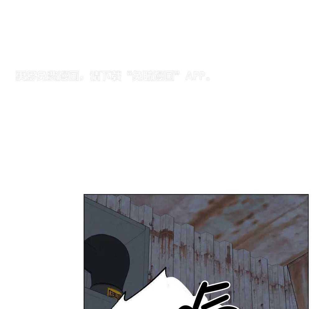 弱肉强食第65话图