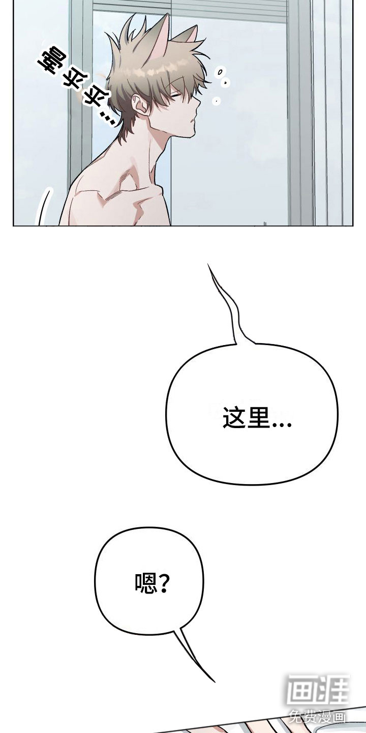 肉食与草食第7话图