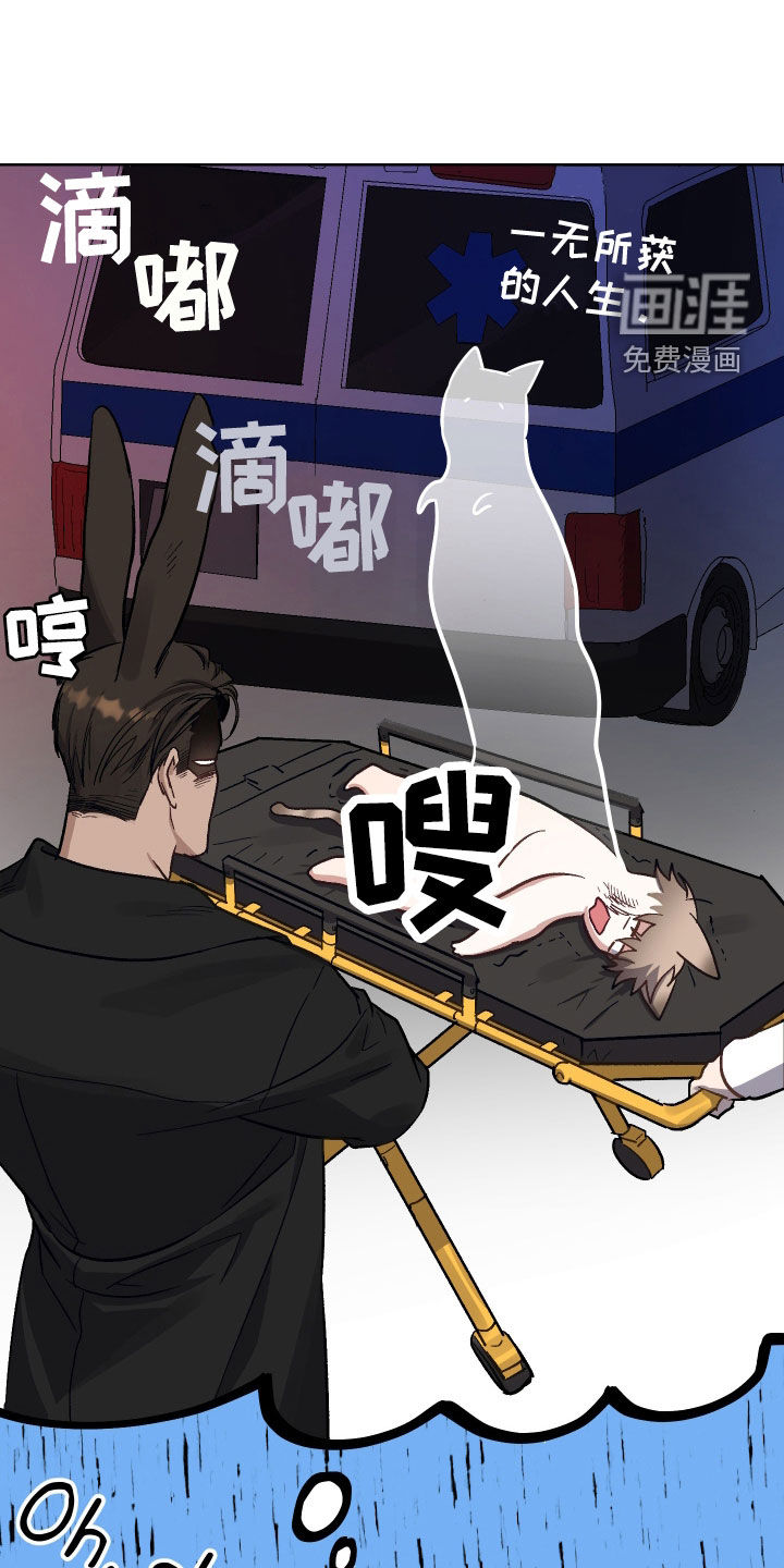 肉食与草食第9话图