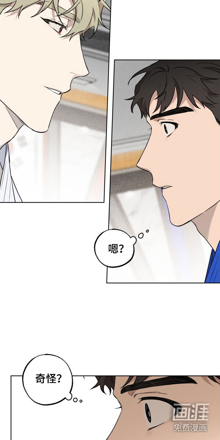 柔道情缘第4话图