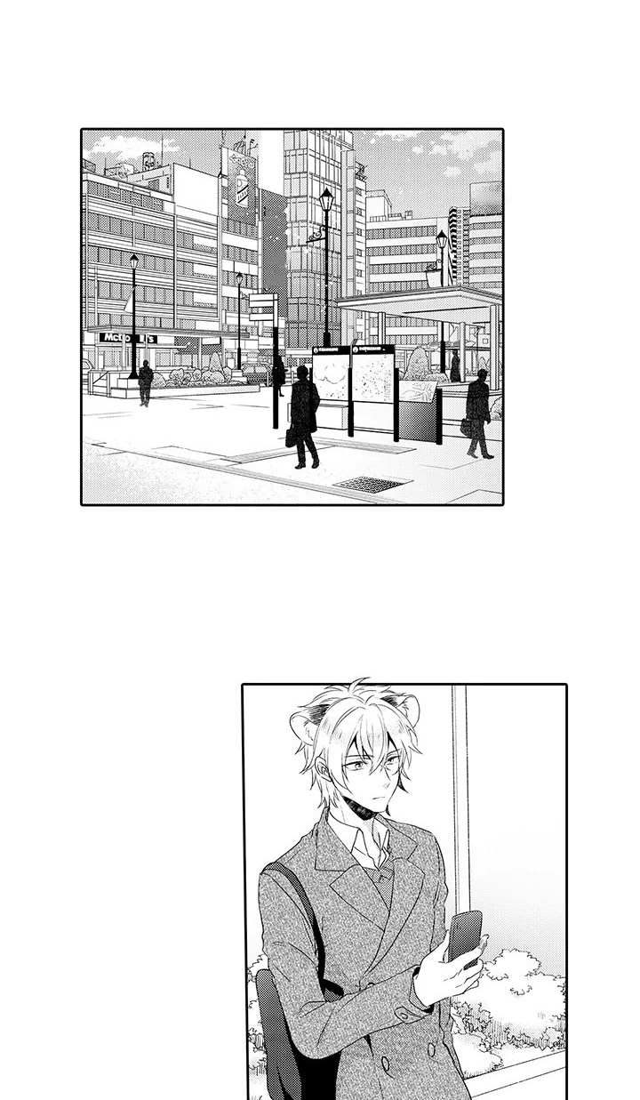 肉食系守则第12话图