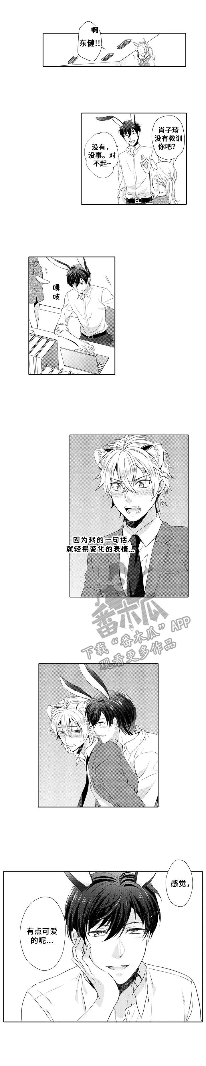 肉食系守则第6话图